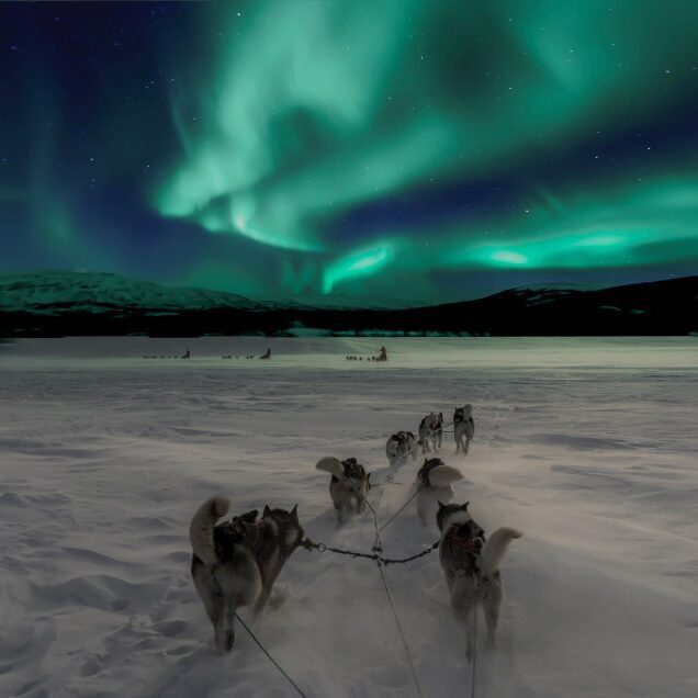 norway-northern-lights-husky-sledding-1-1024x636-1-square-77b635ad42eba413732dfaa68150ce44-95cvwtejd4ny